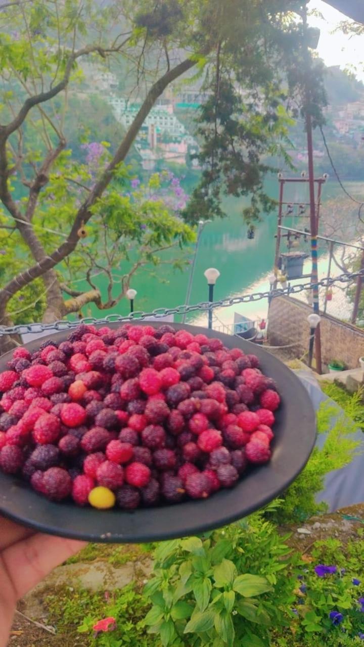 The Lake & Woods Bhimtal Exterior photo